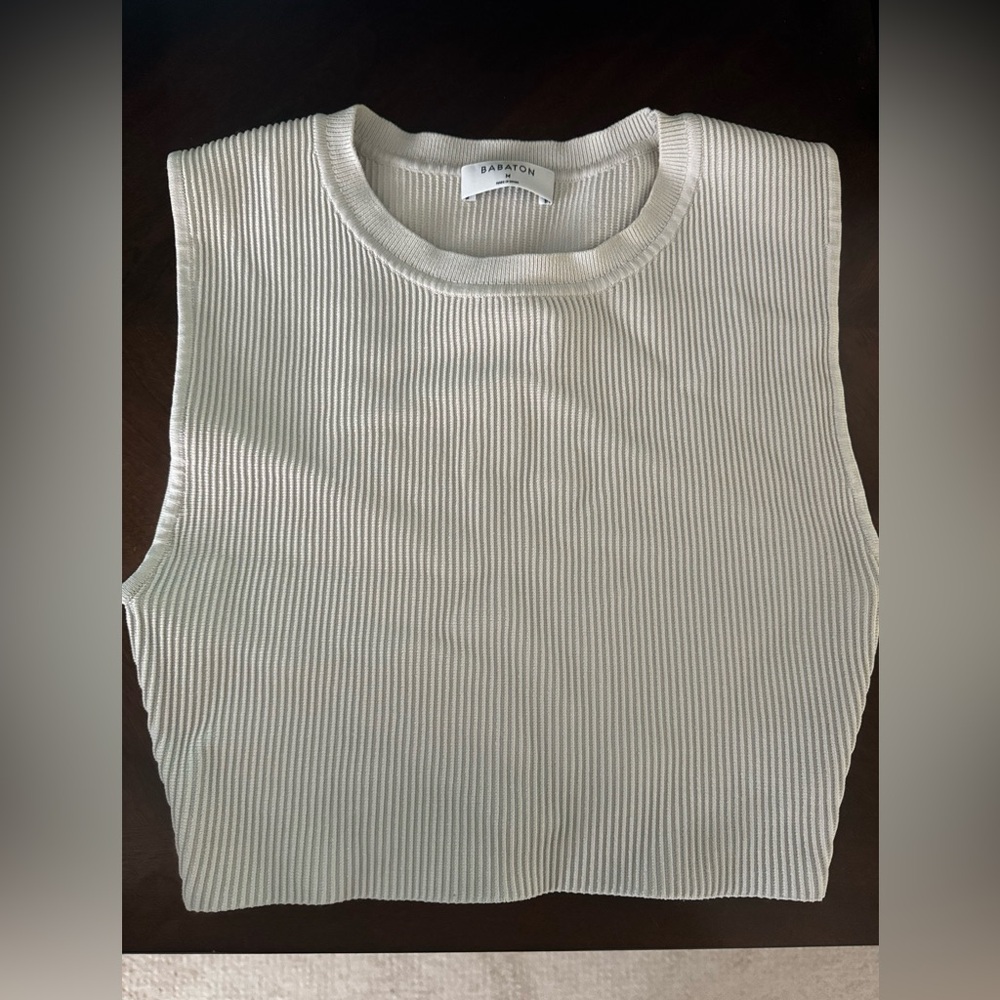 Babaton Sculpt knit top